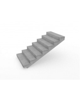 1ЛМ 30.12.15-4-foto2